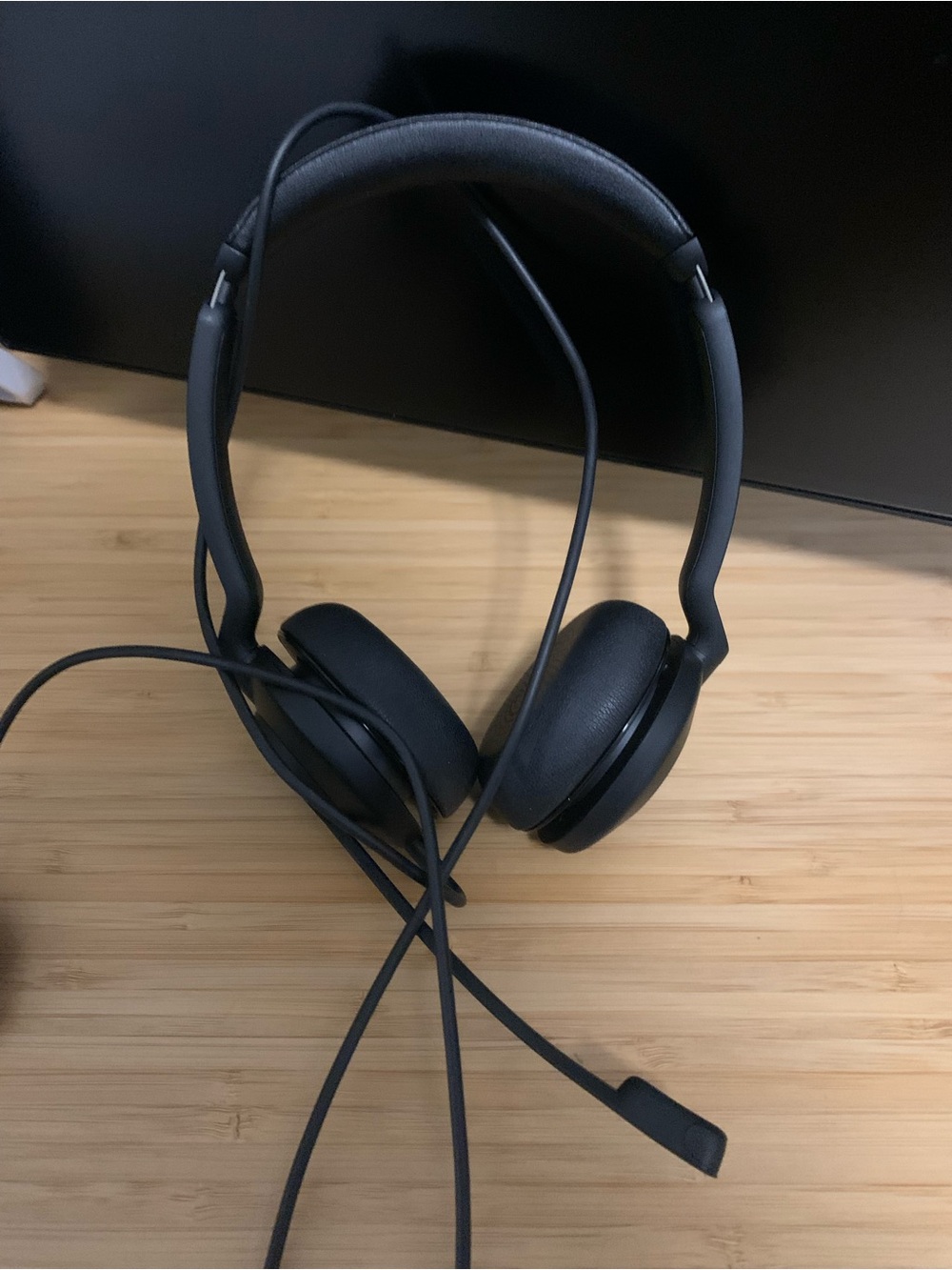 Black Wired On-Ear Headphones with Mic